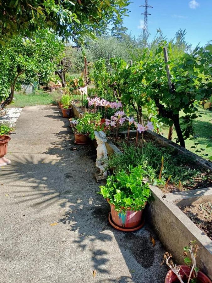 Apartamento Colle Perazzoni Fiano Romano Exterior foto