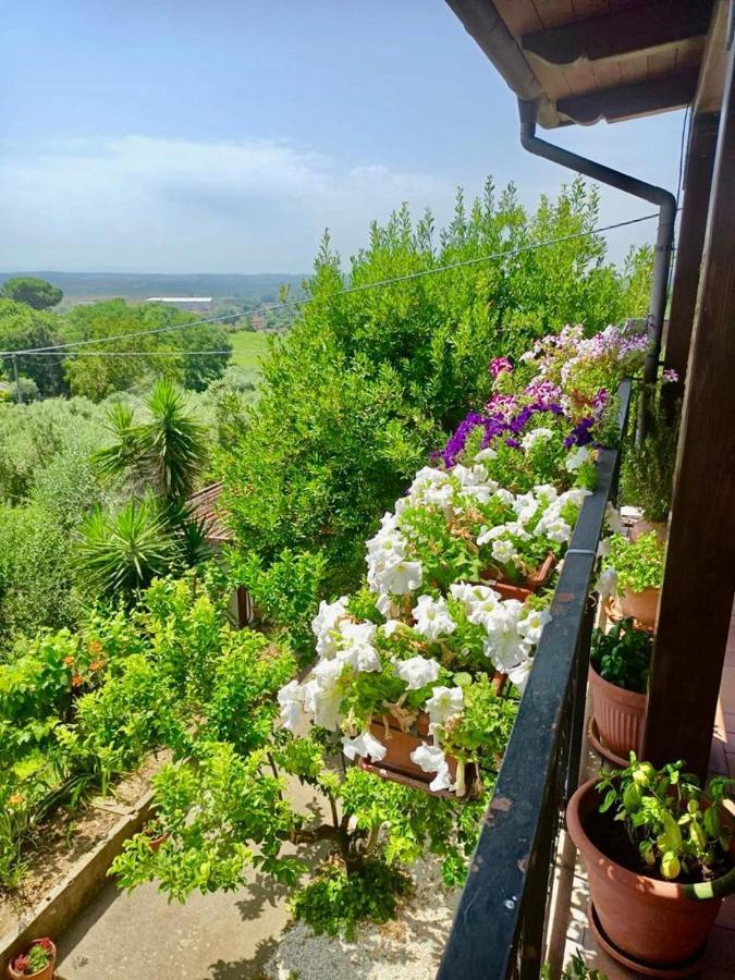 Apartamento Colle Perazzoni Fiano Romano Exterior foto