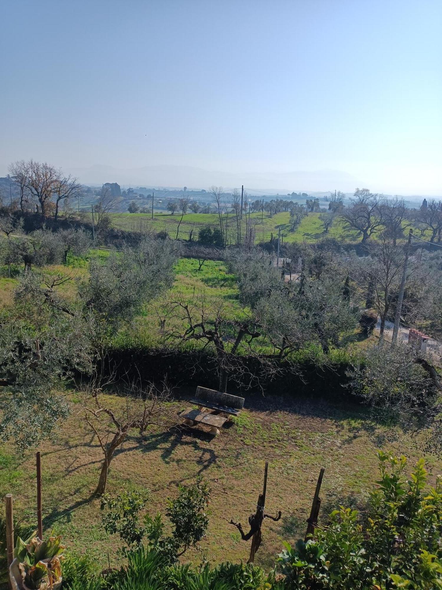 Apartamento Colle Perazzoni Fiano Romano Exterior foto