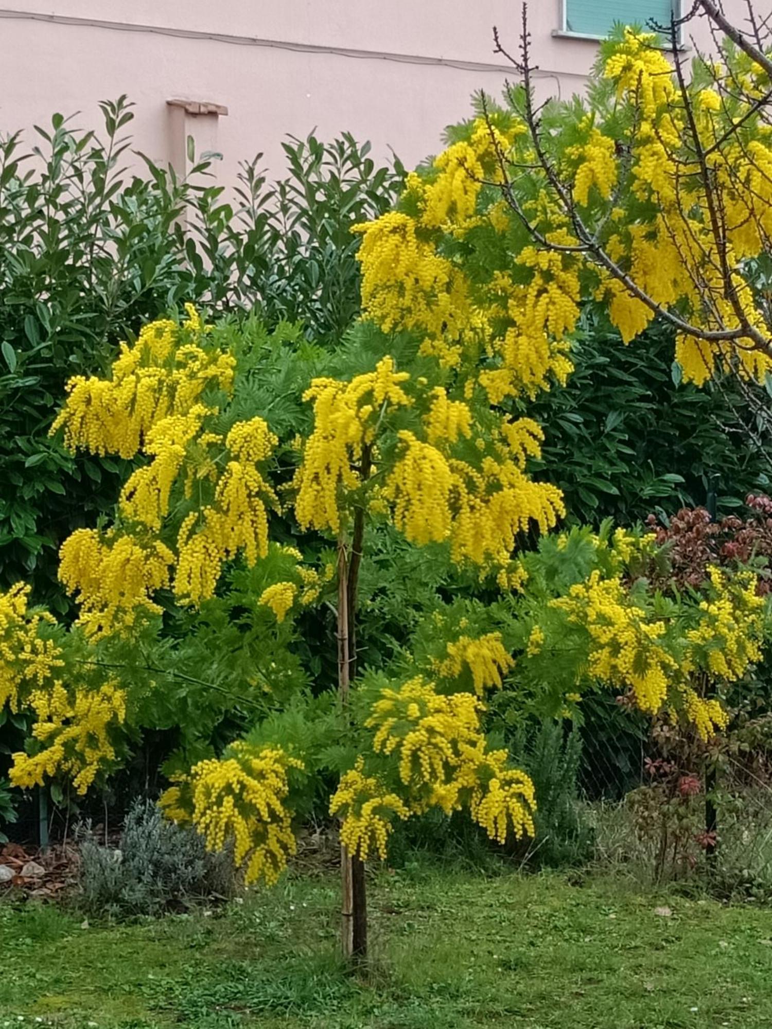 Apartamento Colle Perazzoni Fiano Romano Exterior foto