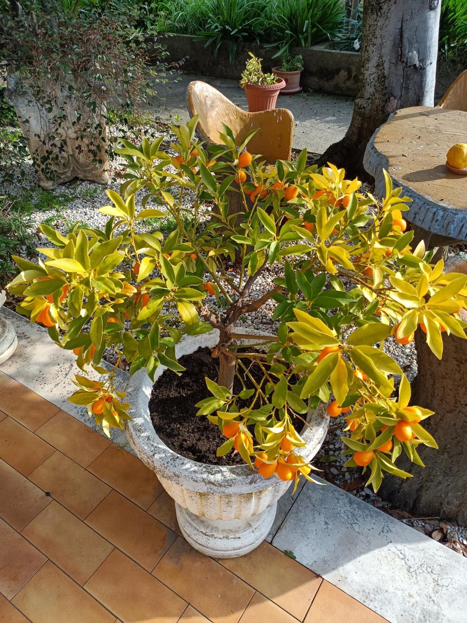 Apartamento Colle Perazzoni Fiano Romano Exterior foto