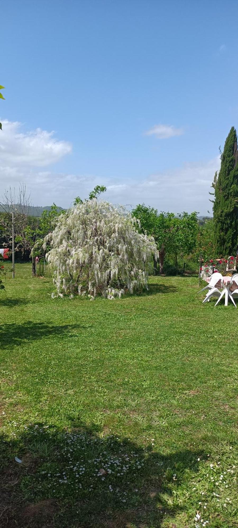 Apartamento Colle Perazzoni Fiano Romano Exterior foto