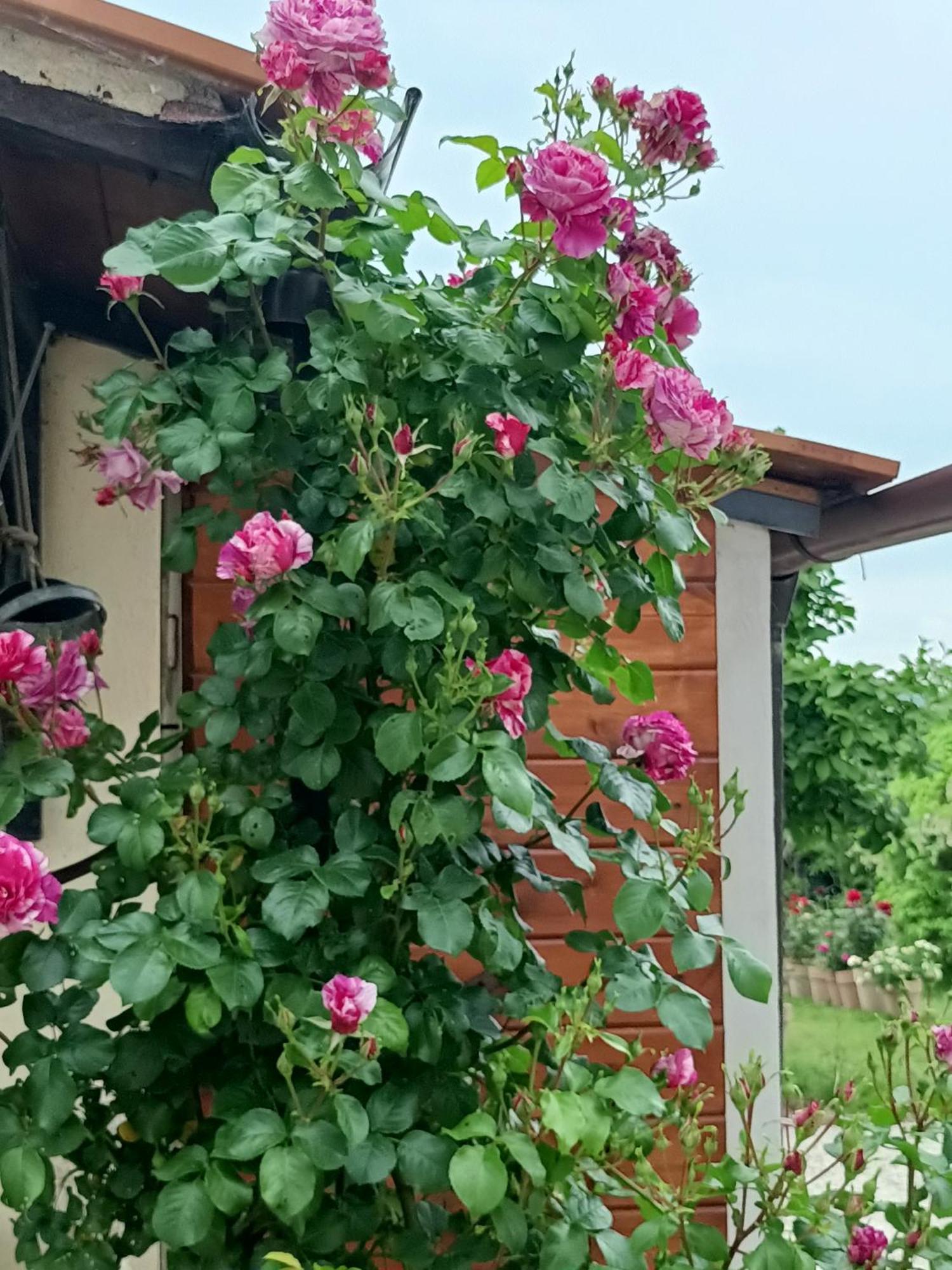 Apartamento Colle Perazzoni Fiano Romano Exterior foto